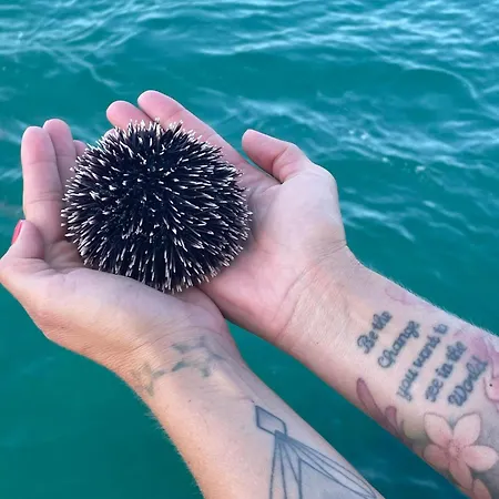 Mirta Tours & Half A Day Of Waves And Wine Botel *