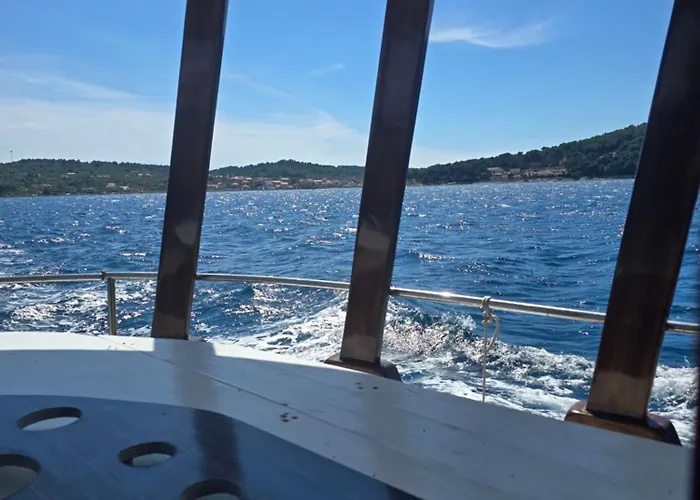 Mirta Tours & Half A Day Of Waves And Wine